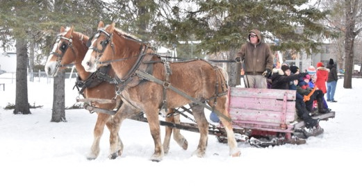 Turning a corner.  Sleigh and horses provided by Chris and Sharon Kelly, sponsored by the Champlain Park Community Association.