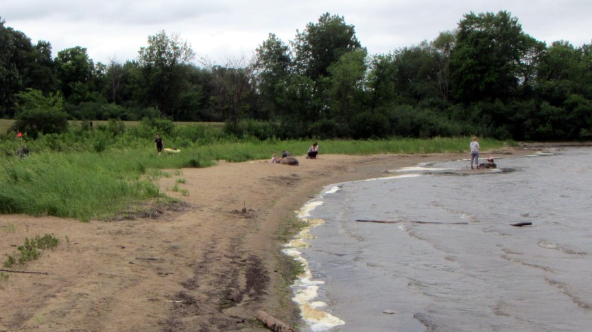 [Remic Beach at the end of Carleton Avenue in July 2020]